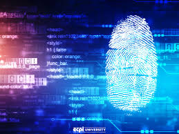 Cyber Investigation and Digital Forensics